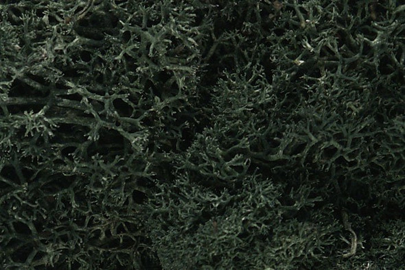 WOOL164 WOODLAND SCENICS Lichen - Darl Green 86ci