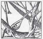 PLP TG-1251 TREE-GRIP DEAD-END 1/4 *ORDER MINIMUM* 100