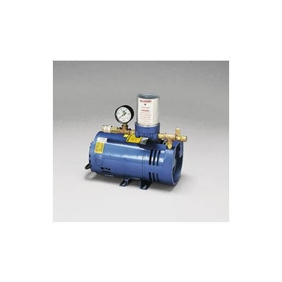 Allegro 9806-E A-300 Ambient Air Pump (220V, 50 Hz)