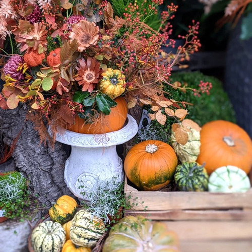 Boo-tiful Flower Ideas to Incorporate into this Halloween