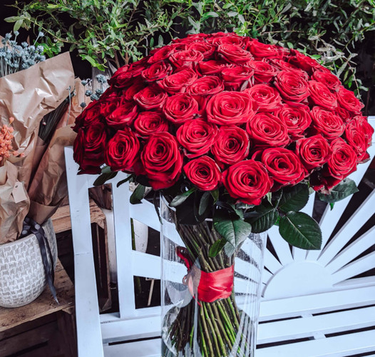 Why Do We Give Red Roses on Valentine’s Day?