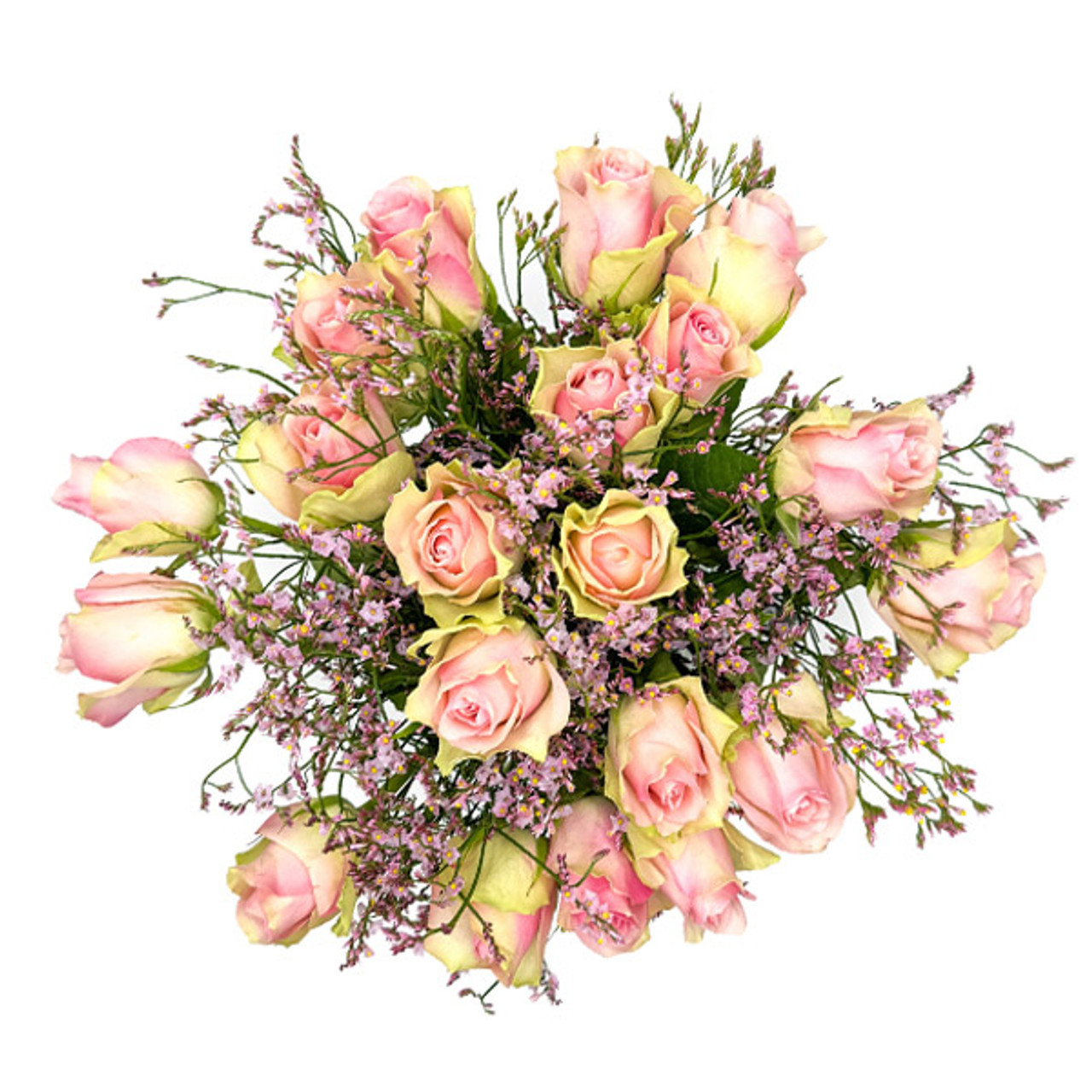 Blush Pink Roses – Bunches Direct USA