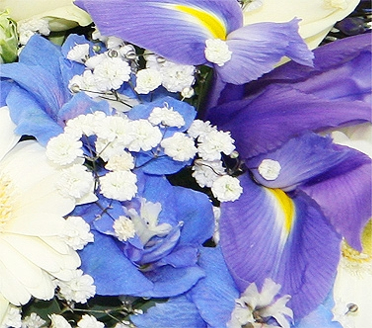 Blue & White Sympathy Standing Spray Extra Large by 1-800 Flowers