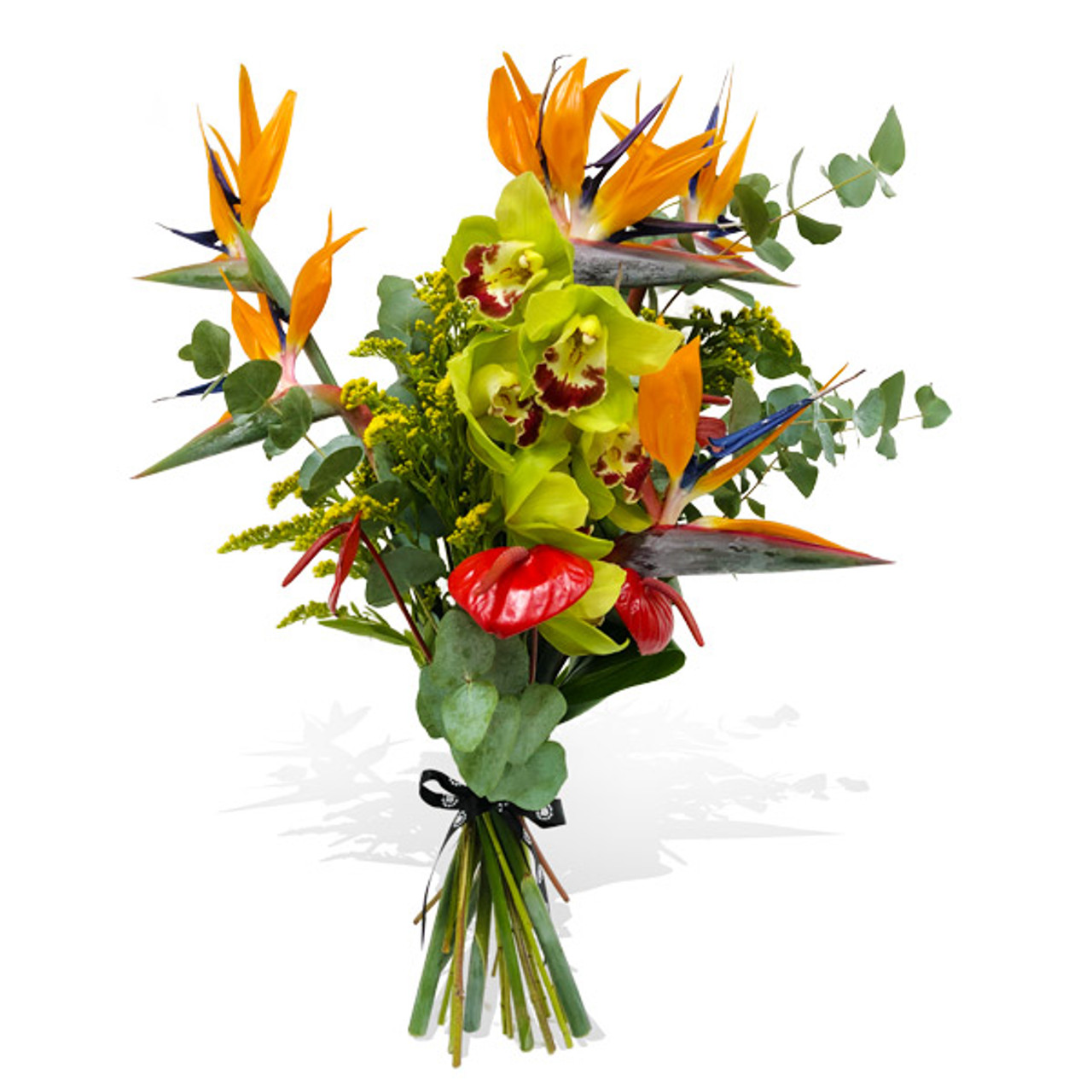 Bird of shop paradise bouquets