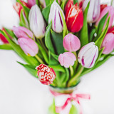 Hand-picked but our florists and put together in pastel, pink and red tones, this bunch of tulips comes with a free clear glass vase ready to display this blooms at their best.