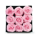 Infinity Pink Roses in a Black Box