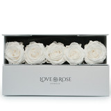 5 Infinity White Roses in a White Box
