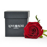 Single Red Rose Head in Luxury Vase