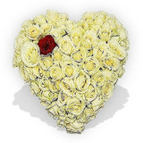 Heart Shaped Roses Tribute