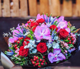 ​February Birth Flowers and Their Meanings