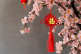 7 Lucky Flowers and Plants for Chinese New Year