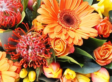 Single Ended White Lilies Funeral Spray Funeral Flowers Flower Station