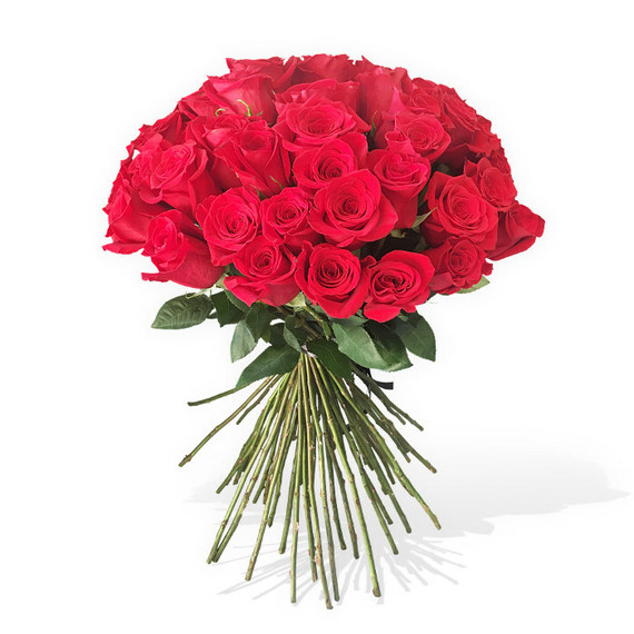 50 Long Stem Red Roses - Collection Only