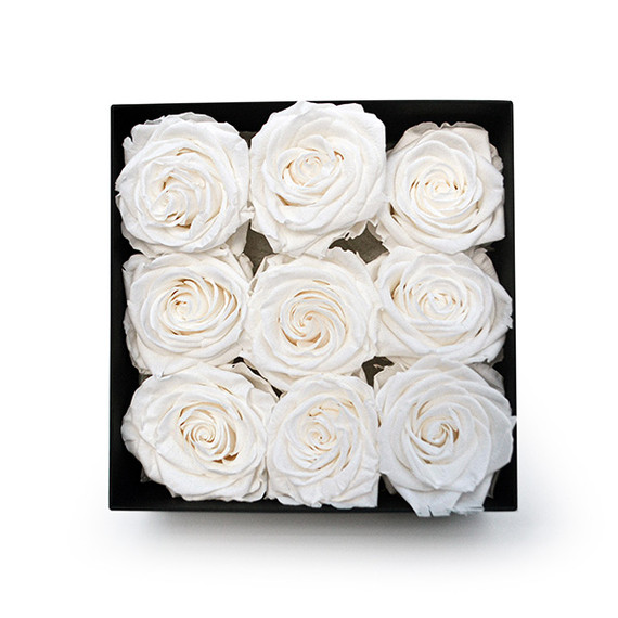 Infinity White Roses in a Black Box