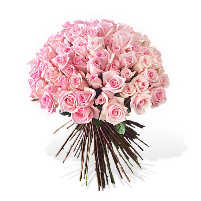 A massive selection of 100 long-stem pink luxury roses (70cm)