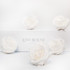 5 Infinity White Roses in a White Box