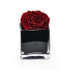 Single Red Rose Head in Luxury Vase