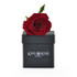 Single Red Rose Head in Luxury Vase