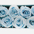 Infinity Blue Roses in a White Box