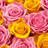 Infinity Pink and Yellow Roses in a Black Box