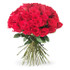 50 Long Stem Red Roses