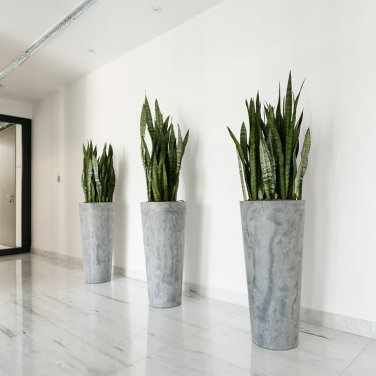 Office Flowers