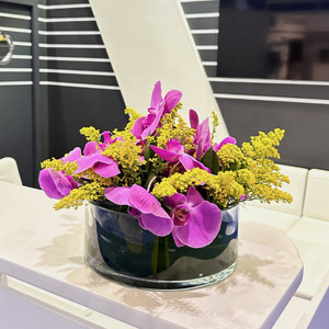 Corporate Office Flowers and Plants