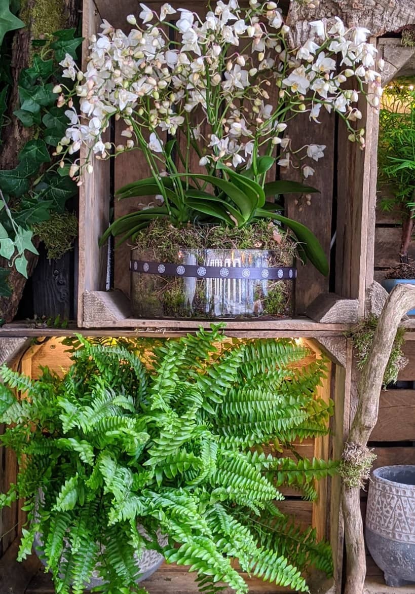 Flower Delivery London Same Day Flowers Delivered