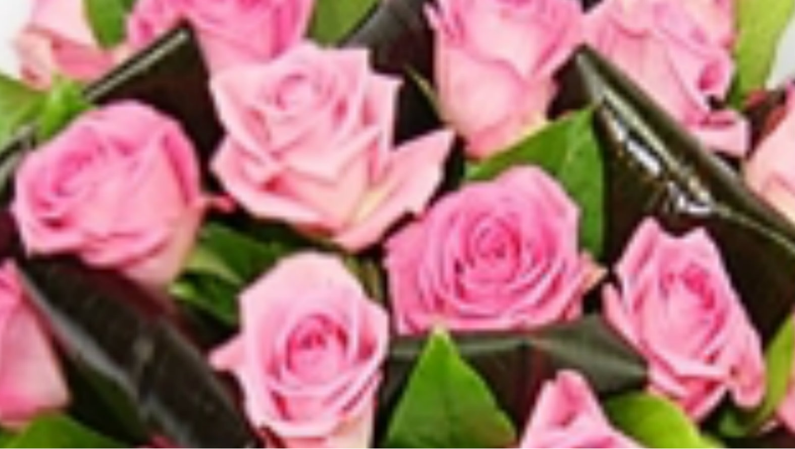 aqua-pink-roses.jpg aqua-pink-roses.jpg