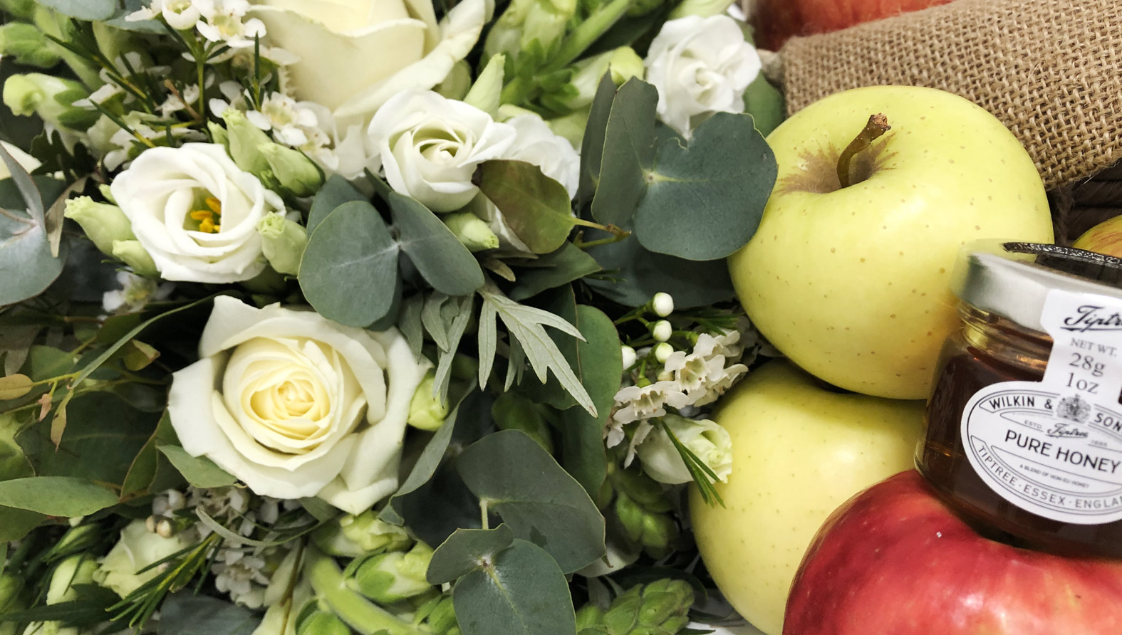esther-header-full-size.jpg esther-header-full-size.jpg