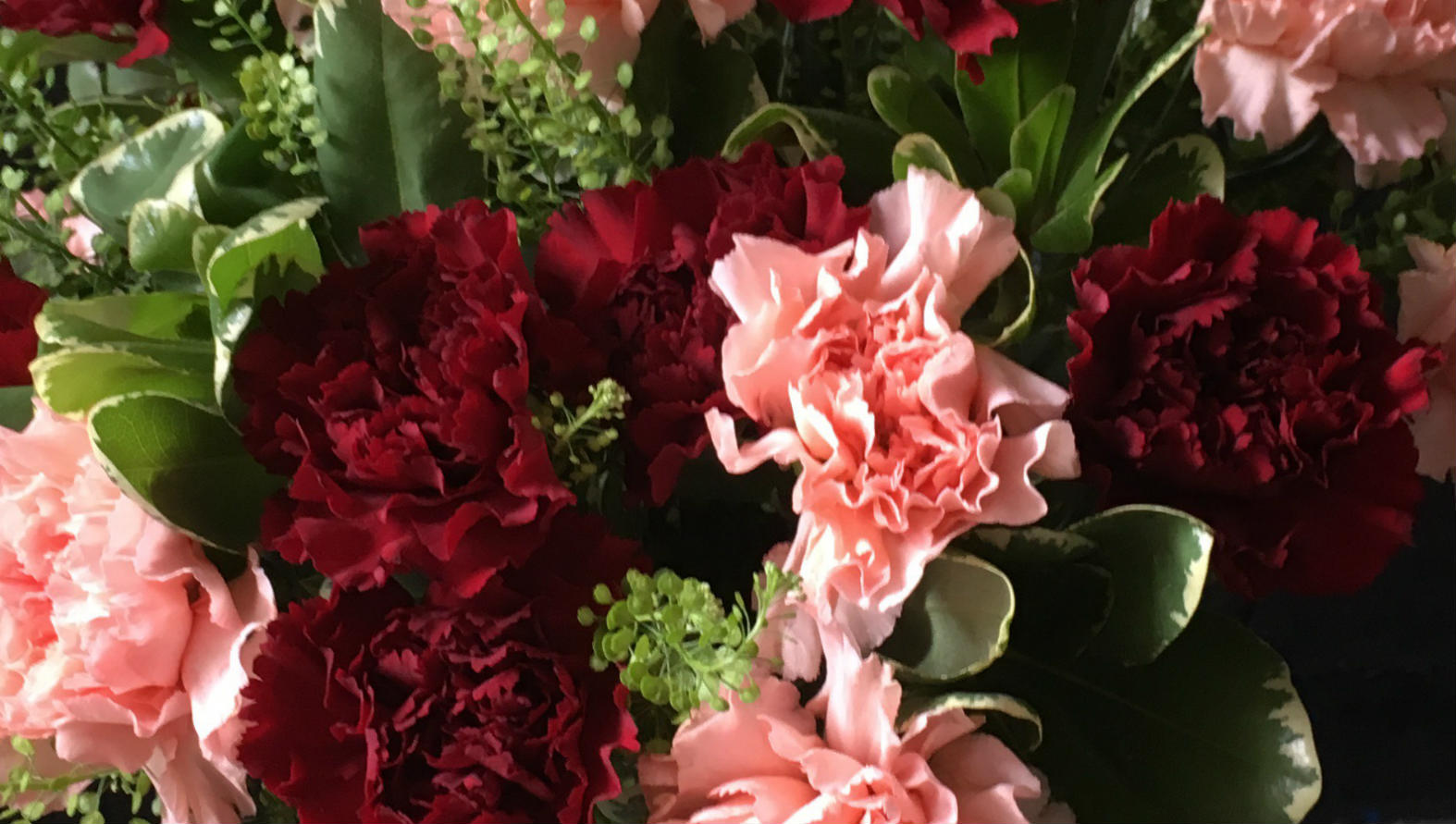 mixed-dianthus-bouquet.jpg