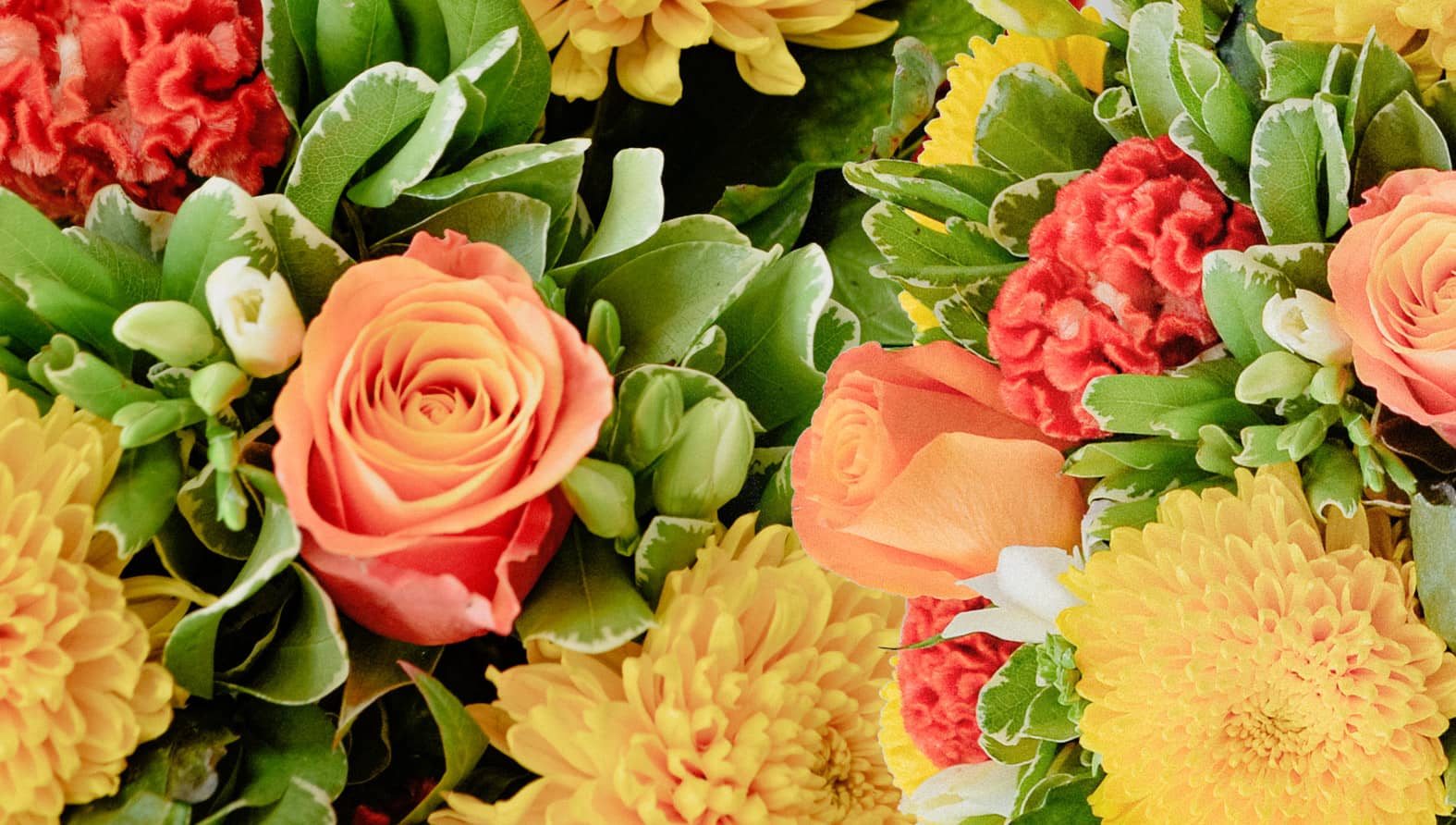 more-than-words2020header-fullsize.jpg more-than-words2020header-fullsize.jpg
