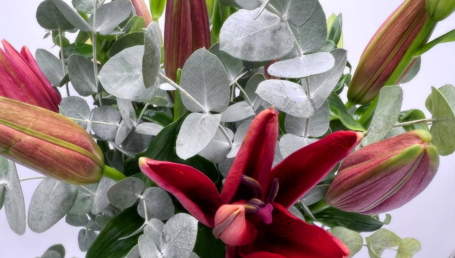 red-lilies-full.jpg red-lilies-full.jpg