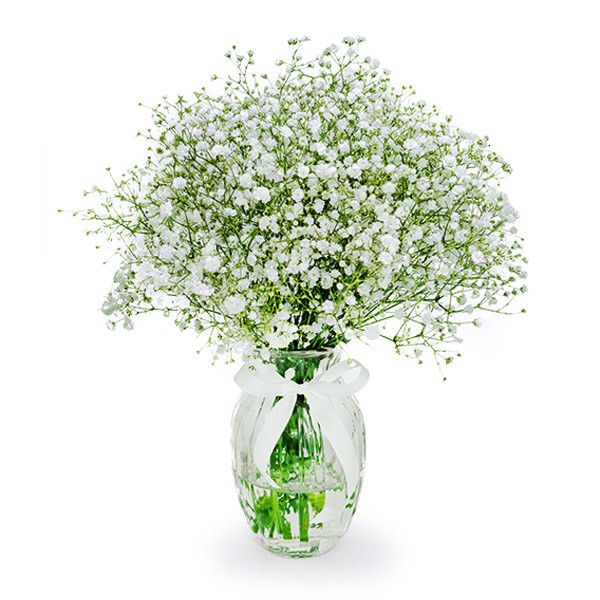 Baby's Breath in a Vase Birthday Flowers Flower Station