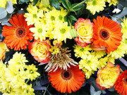 all-for-one-flower-station-min.jpg Front Facing Pedestal Arrangement