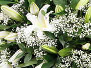 Funeral Spray with White Lilies