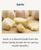 Garlic is a flavorful bulb from the onion family known for its various health benefits.
 Garlic is a flavorful bulb from the onion family known for its various health benefits.