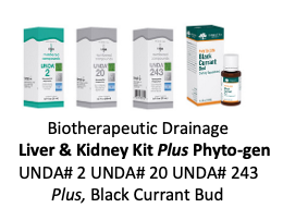 Biotherapeutic Drainage Liver & Kidney Kit - UNDA