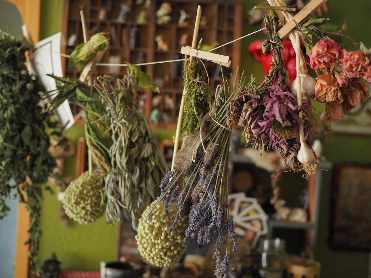 Herbs & Botanicals