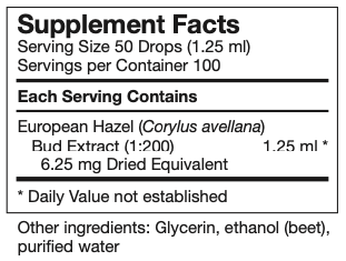 corylus-avellana.png