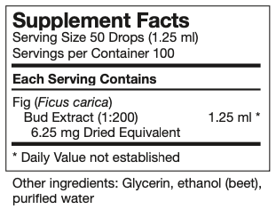 ficus-carica.png