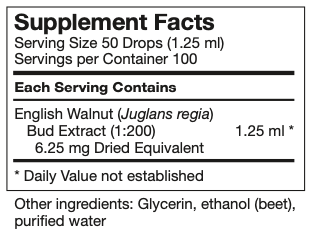 juglans-regia.png