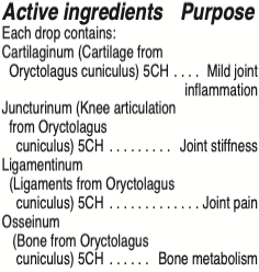 juncturinum-plex-.png