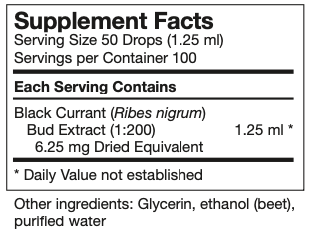 ribes-nigrum.png