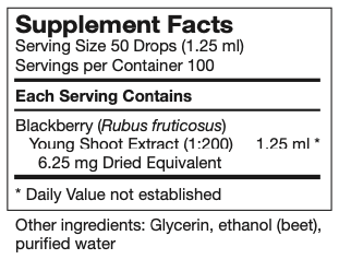 rubus-fruticosus.png