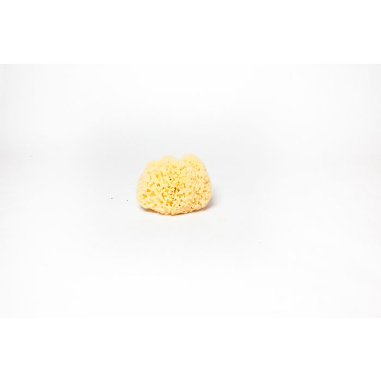 Aphrodite Natural Sea Sponges - Product Demo 