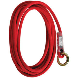 Removable Tree Anchor