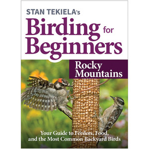 Birding For Beginners: Rockies