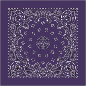 Bandana Paisley Plum