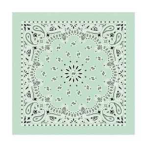 Bandana Paisley Mint